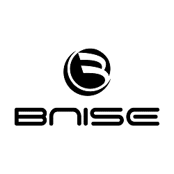 logo bnise