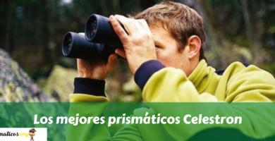 Los mejores prismáticos Celestron